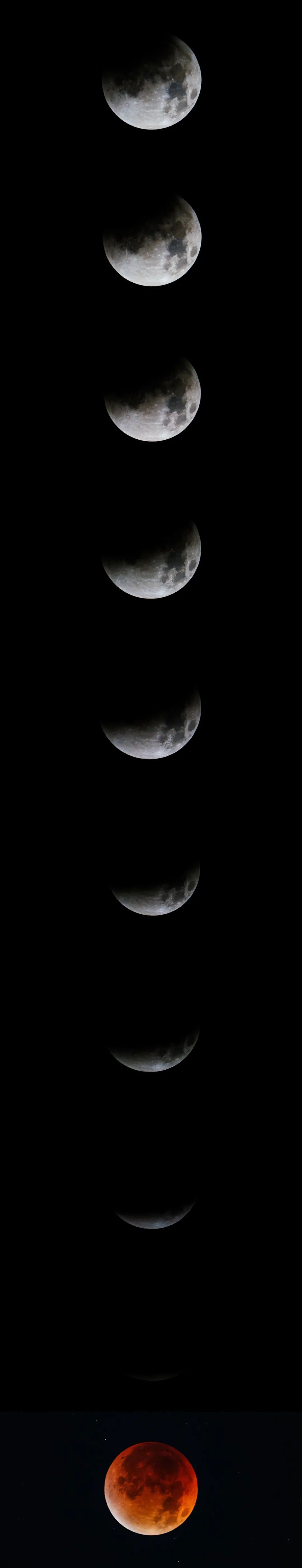 “高人在这！”高校“红月亮”接力……