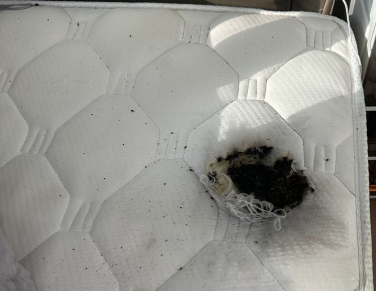 太吓人！辽宁一女子正睡觉，床上的充电宝爆炸起火！