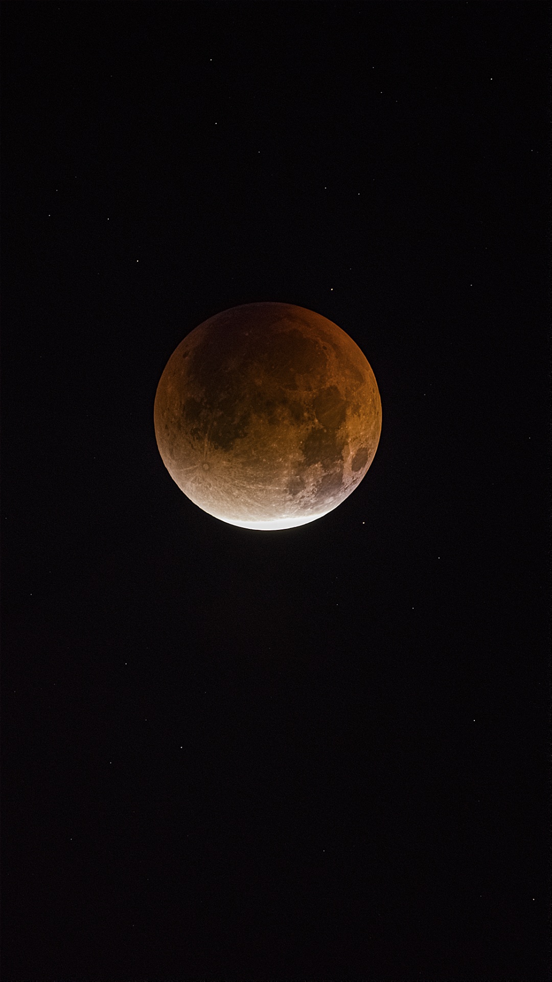 “高人在这！”高校“红月亮”接力……