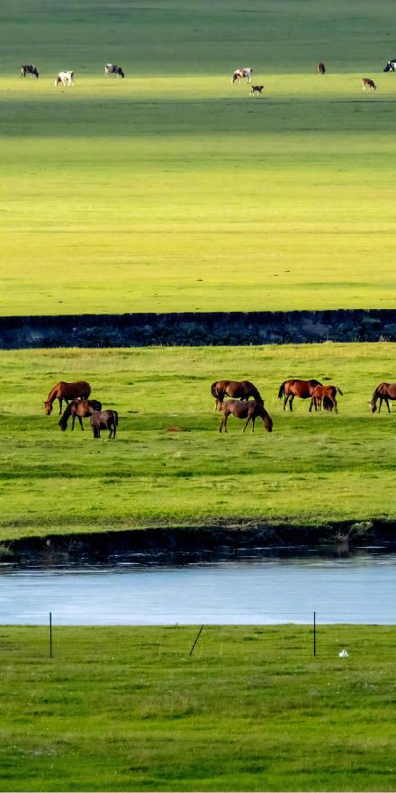 收藏！初秋草原超绝治愈系壁纸