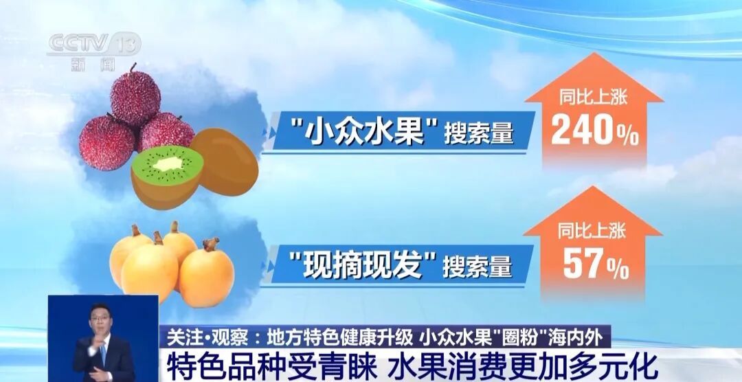 大凉山会理石榴，首次出口俄罗斯！