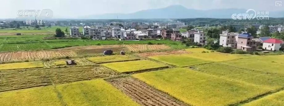 新型农机成“主角”、无人机开辟“空中走廊”……科技赋能金秋好“丰”景