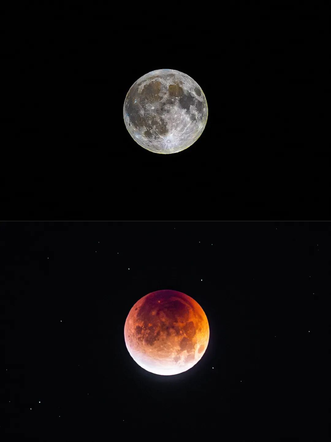 “高人在这！”高校“红月亮”接力……