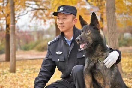 重庆市一级功勋犬“黑狼”被公安部选定为中国警犬LOGO形象犬