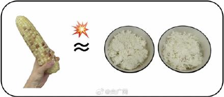 玉米是所有粗粮里最会骗人的 玉米是所有粗粮里最会骗人的