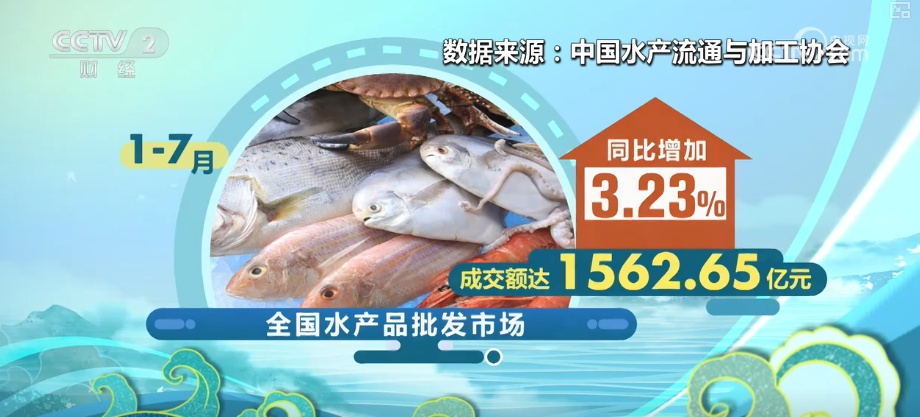 生产忙！销售旺！卫星导航助力渔民精准高效捕鱼 海鲜消费呈现新特点