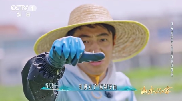 无锡这个村，彻底“出圈”啦