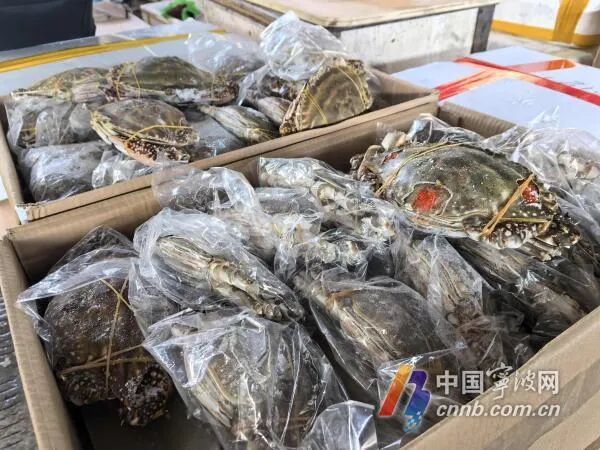 家常生腌蟹撂倒一家三口，专家教你如何预防生腌海鲜中毒