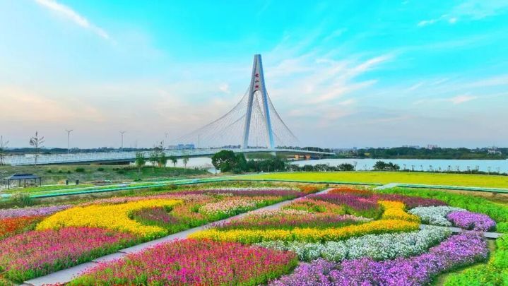 无锡这个村，彻底“出圈”啦