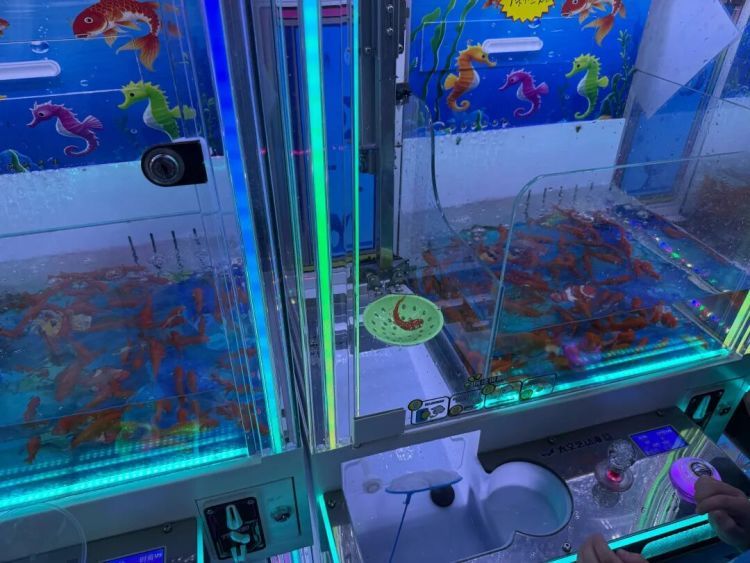 何止“上头”？还有风险！小心抓娃娃机“变种”