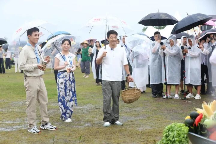 无锡这个村，彻底“出圈”啦