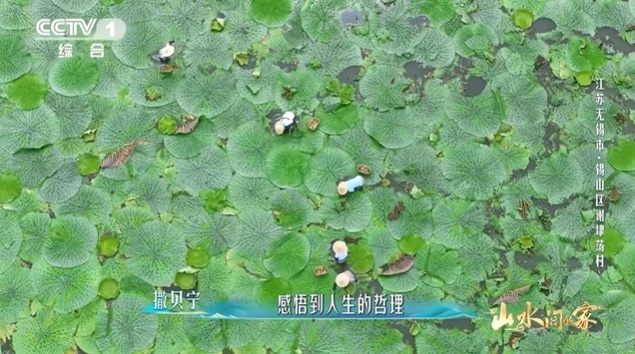 无锡这个村，彻底“出圈”啦