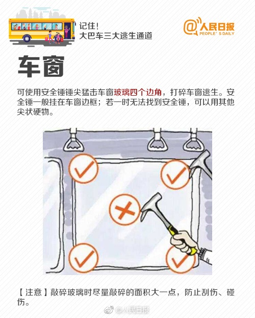 墨西哥一客车抢行与火车相撞 已致10死61伤