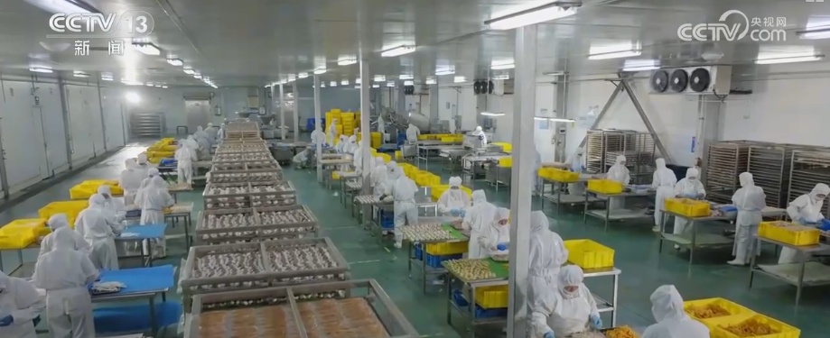 数据平稳、展会密集 外贸如何更好更强？前8个月进出口贸易有何亮点？|分析梳理