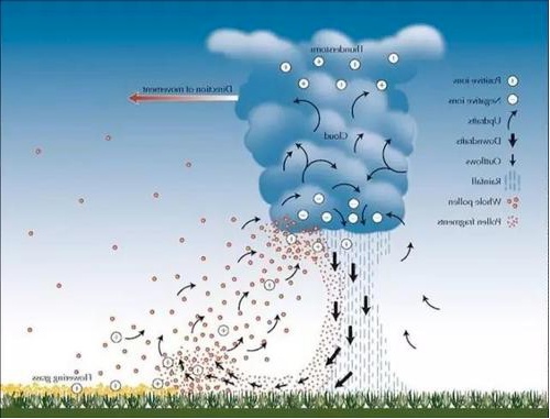 多地雷暴后哮喘患者激增！“雷暴哮喘”是什么？