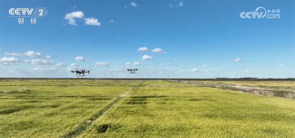 新技术、新模式、新品种……秋日田园满满“科技范儿” 铺展丰收画卷