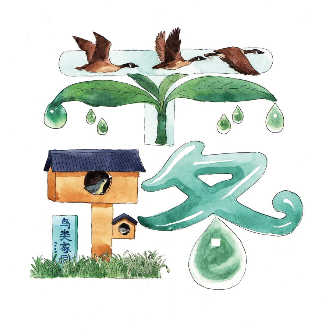 从物候看节气之白露 从物候看节气之白露