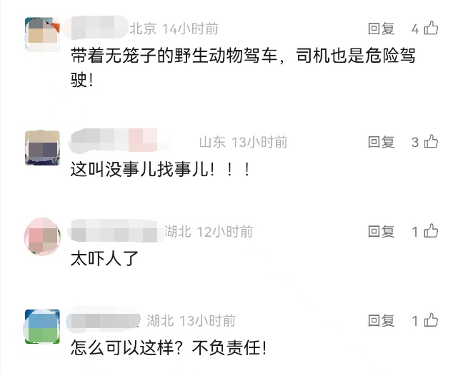女子搭顺风车，遭车主宠物袭击，全身多处咬伤、撕伤，警方介入