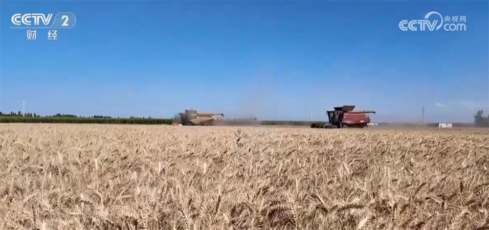 新技术、新模式、新品种……秋日田园满满“科技范儿” 铺展丰收画卷