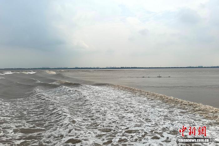 钱塘江涌潮科考，“考” 什么？