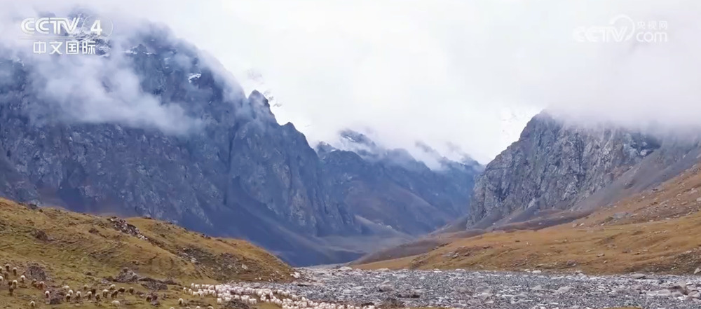 开放水平高、能源有保障、制造数据“靓”……中国经济稳中向好底气足