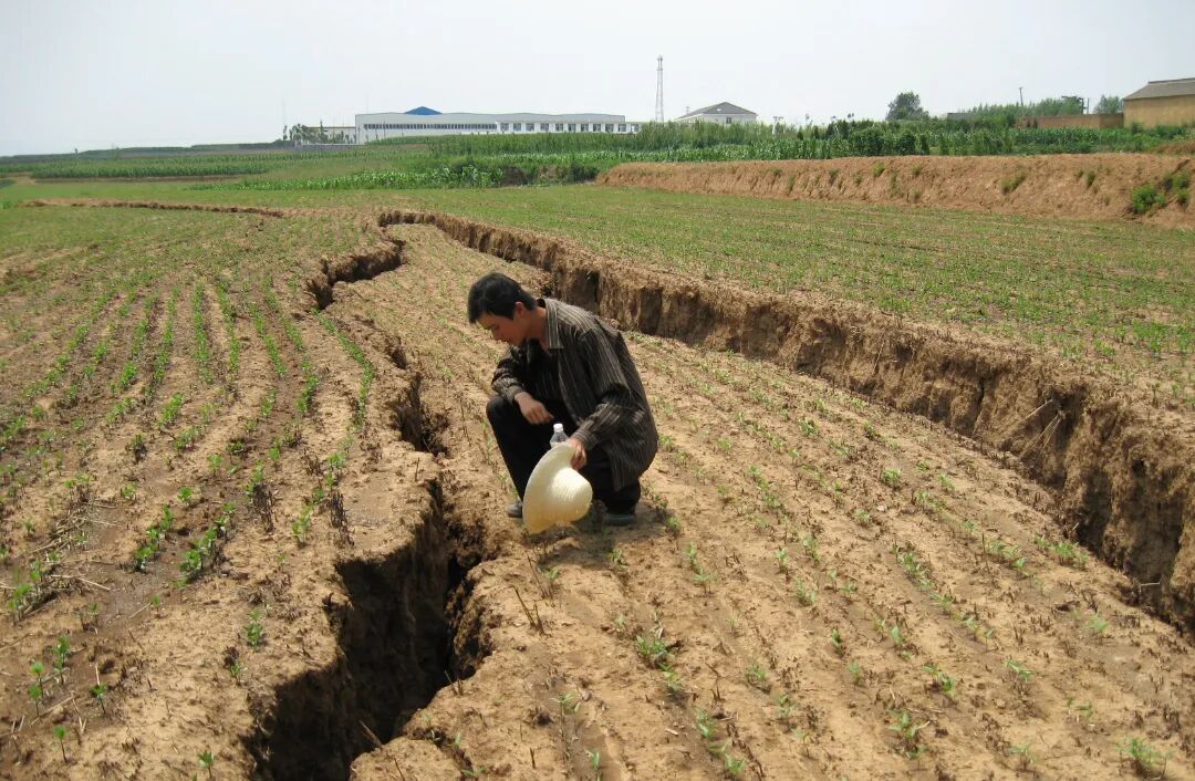 星辰闪耀时 | “为岩石立小传”：在科普的土壤中深耕地质情怀