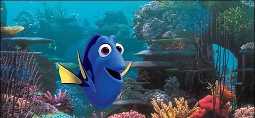 鱼的记忆只有七秒？其实他们也会学习！