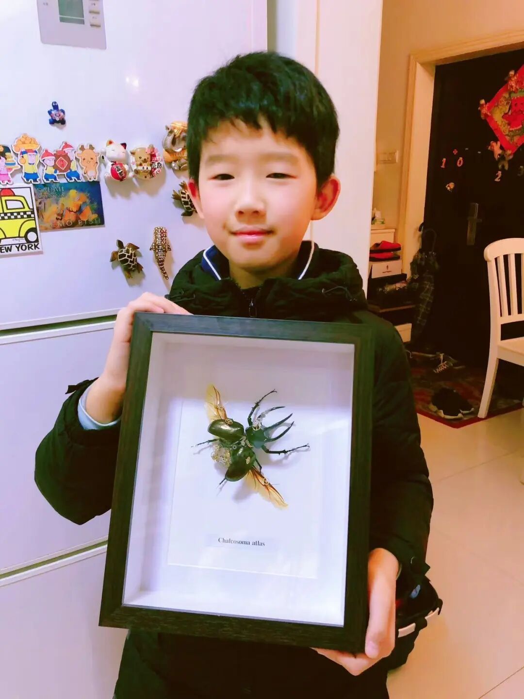 从养蟑螂到发现新物种并获命名权！16岁少年把昆虫“玩”出大名堂