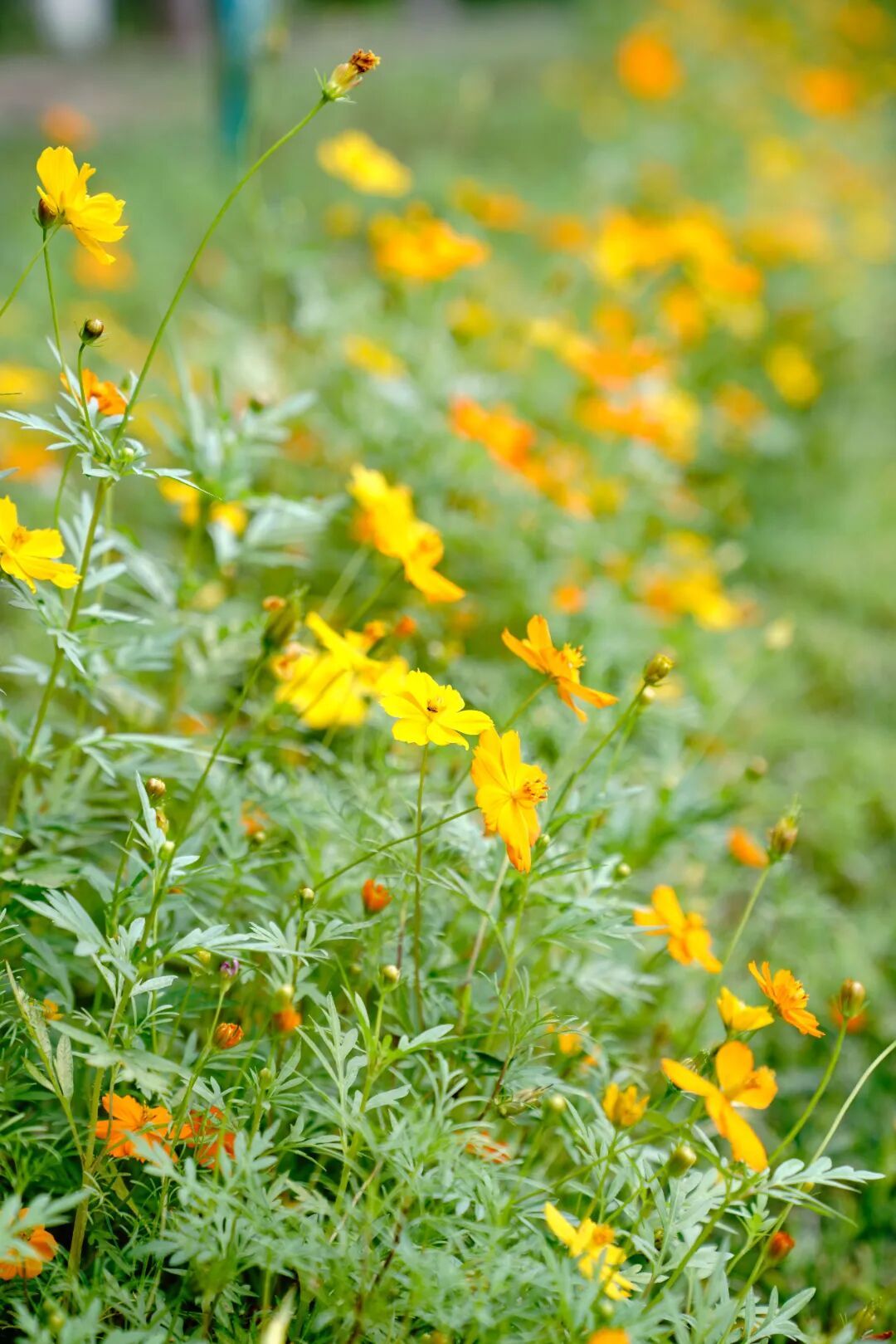镜头下的北京科学中心丨黄秋英 镜头下的北京科学中心丨黄秋英