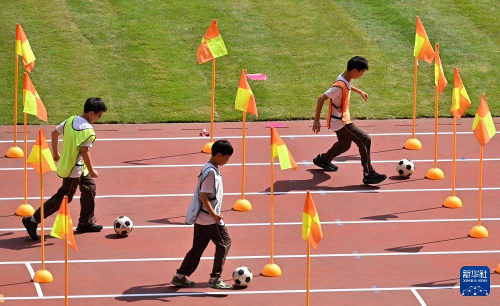 体教融合 欢乐“鸟巢” 体教融合 欢乐“鸟巢”