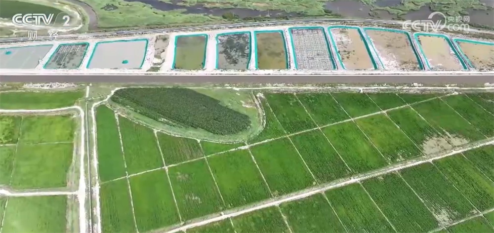 新技术、新模式、新品种……秋日田园满满“科技范儿” 铺展丰收画卷
