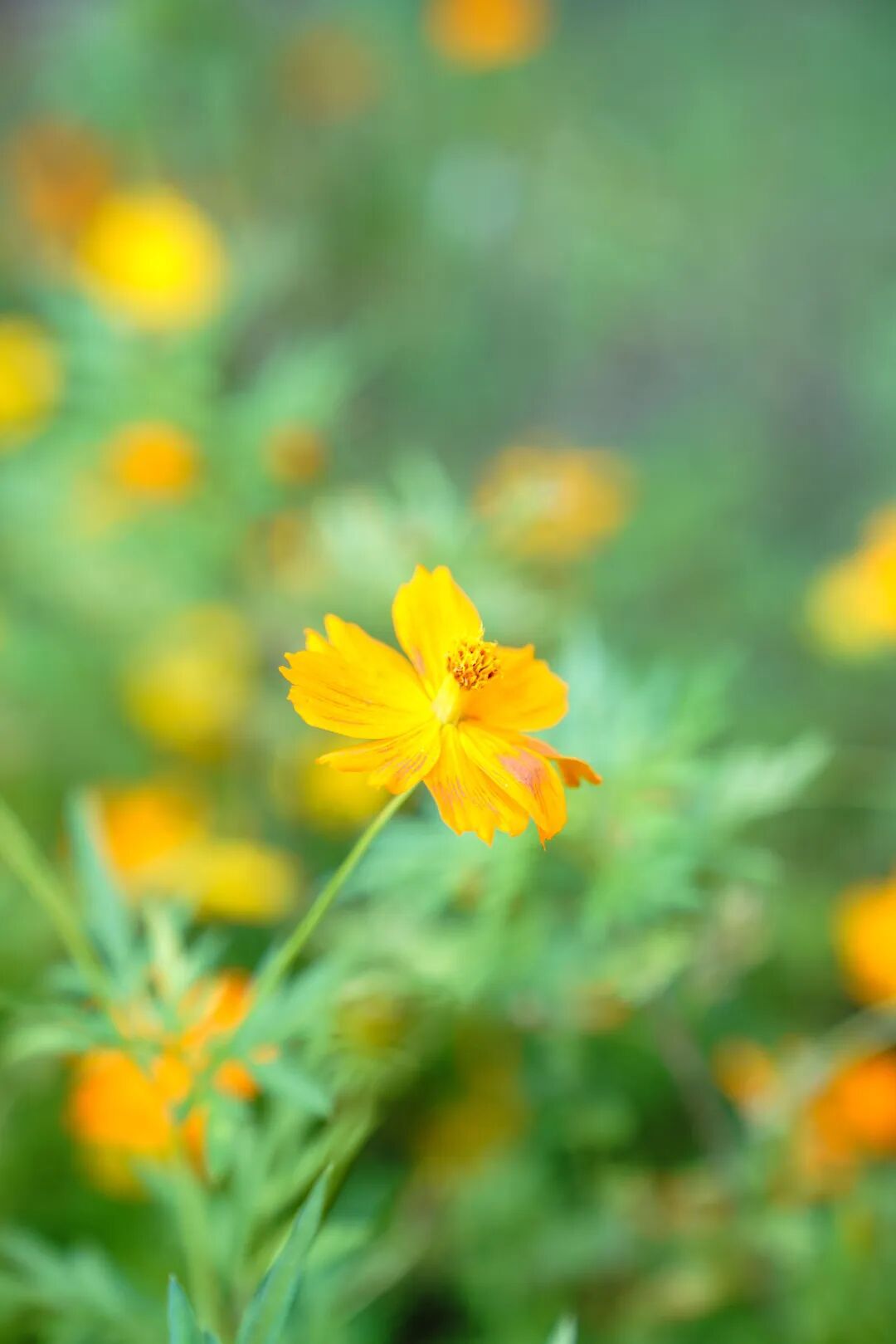 镜头下的北京科学中心丨黄秋英 镜头下的北京科学中心丨黄秋英