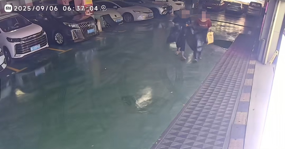 离谱!上海一自助门店冰柜遭“0元购”,周围遍布摄像头…… 离谱!上海一自助门店冰柜遭“0元购”,周围遍布摄像头……