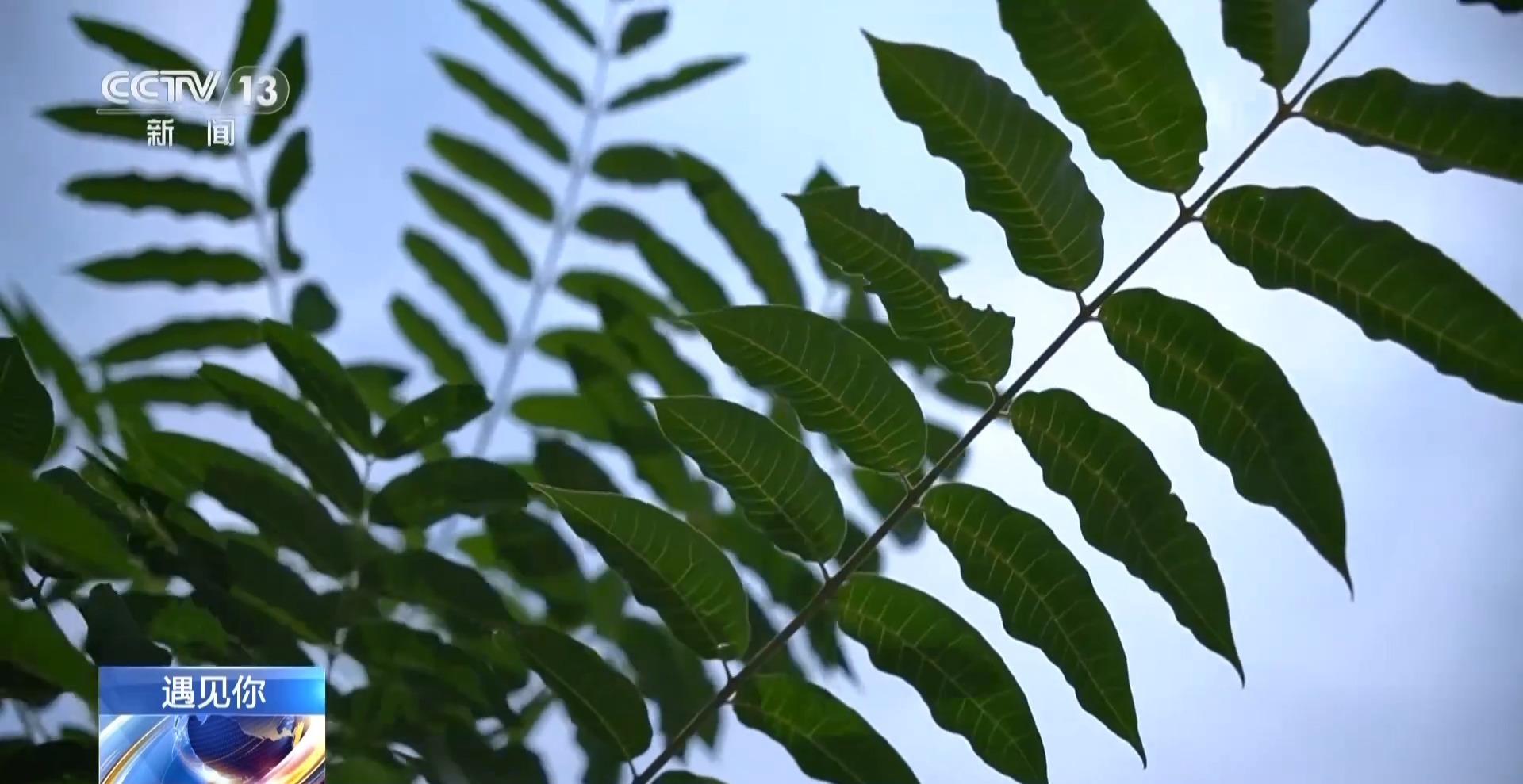 遇见你丨5年捐款30万元 这对夫妻用“大爱”完成儿子遗愿