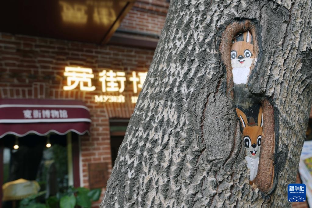 哈尔滨公益性民间博物馆:守护城市多元文化基因 哈尔滨公益性民间博物馆:守护城市多元文化基因