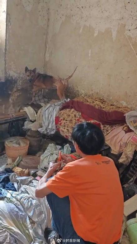 救助者回应老人去世狗狗坚守家中:看见它流泪了,很心痛...... 救助者回应老人去世狗狗坚守家中:看见它流泪了,很心痛......