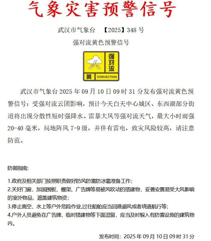 风险预警：雷电暴雨，阵风9级，今天到武汉！