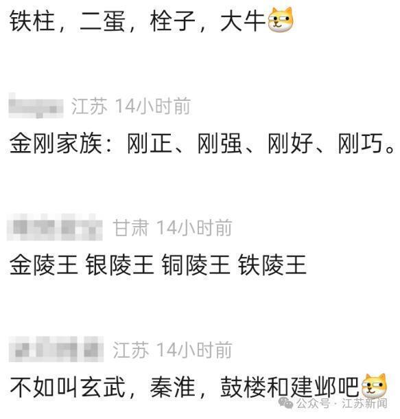 笑晕了！南京红山森林动物园为大猩猩“四兄弟”全网征名，网友：四大天王