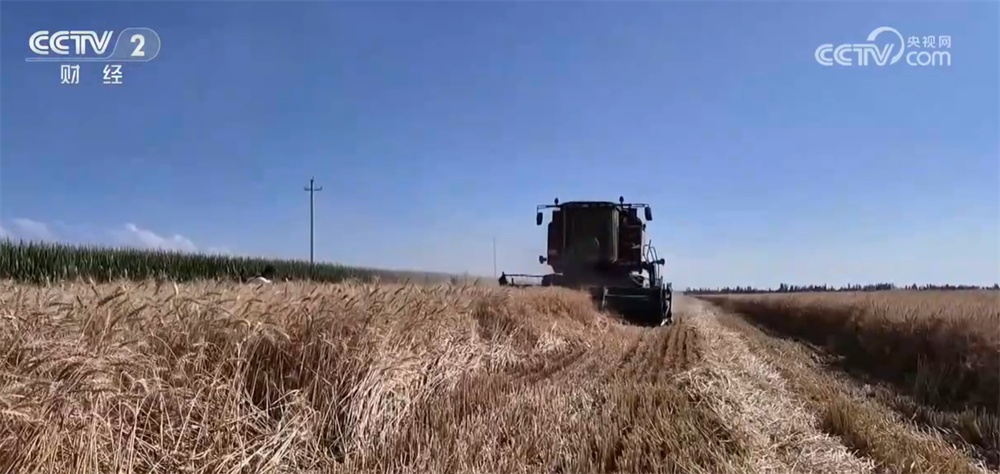 新技术、新模式、新品种……秋日田园满满“科技范儿” 铺展丰收画卷
