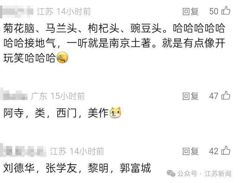笑晕了！南京红山森林动物园为大猩猩“四兄弟”全网征名，网友：四大天王