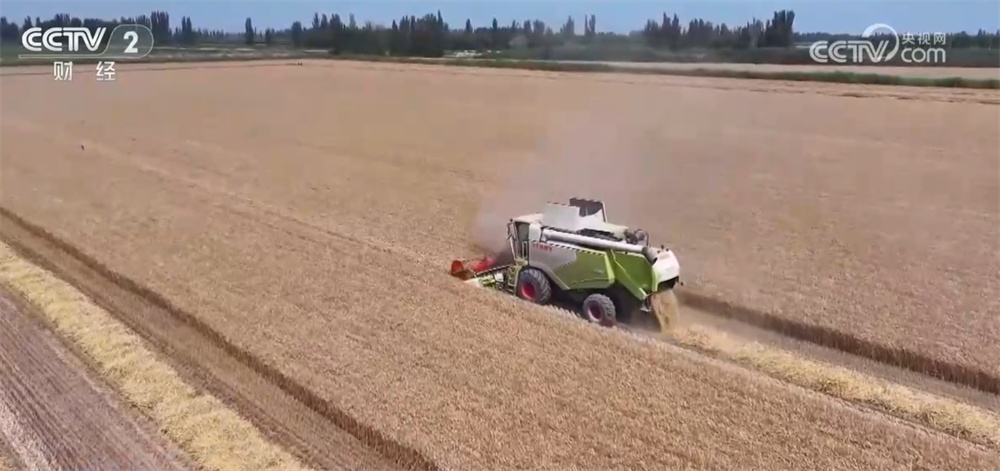 新技术、新模式、新品种……秋日田园满满“科技范儿” 铺展丰收画卷