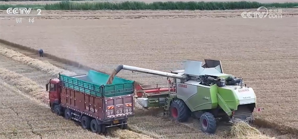 新技术、新模式、新品种……秋日田园满满“科技范儿” 铺展丰收画卷