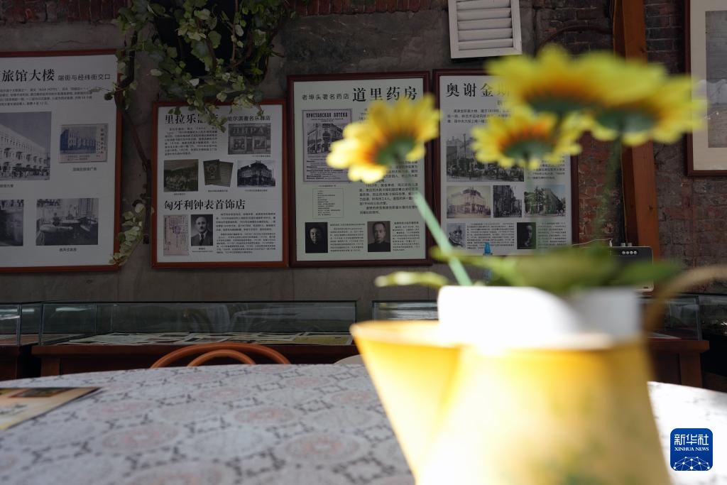 哈尔滨公益性民间博物馆:守护城市多元文化基因 哈尔滨公益性民间博物馆:守护城市多元文化基因