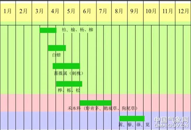 多地雷暴后哮喘患者激增！“雷暴哮喘”是什么？