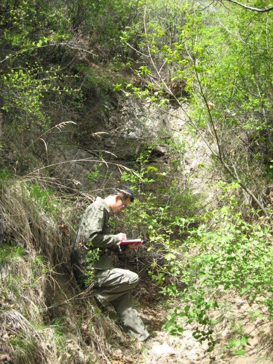 星辰闪耀时 | “为岩石立小传”：在科普的土壤中深耕地质情怀