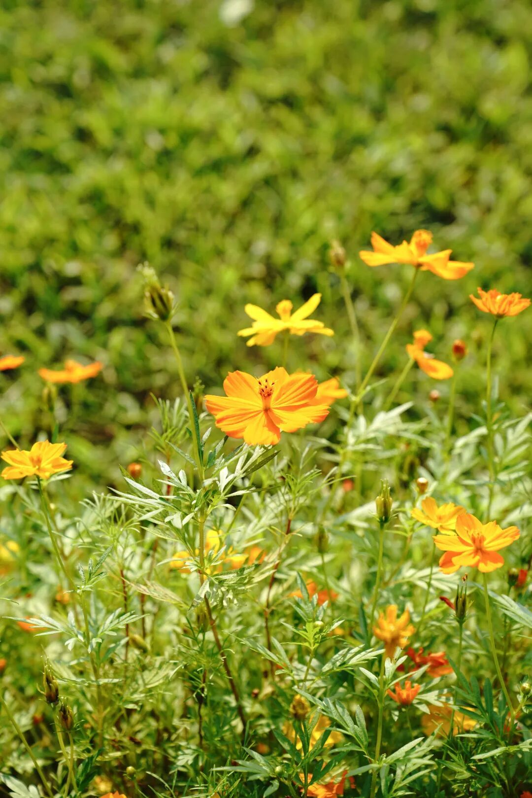 镜头下的北京科学中心丨黄秋英 镜头下的北京科学中心丨黄秋英