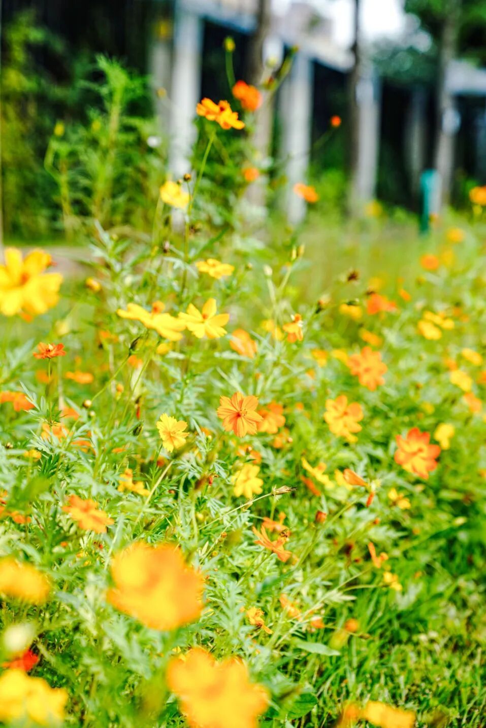 镜头下的北京科学中心丨黄秋英 镜头下的北京科学中心丨黄秋英
