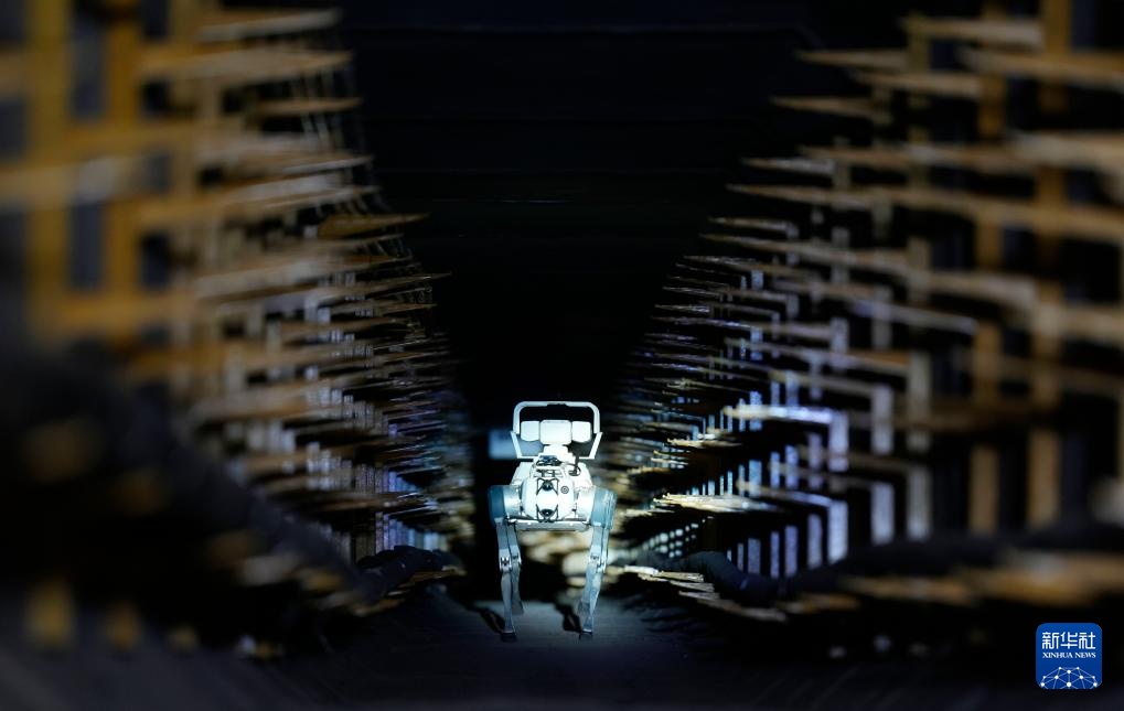 宁夏：巡检机器狗“上岗” 智慧守护电网安全