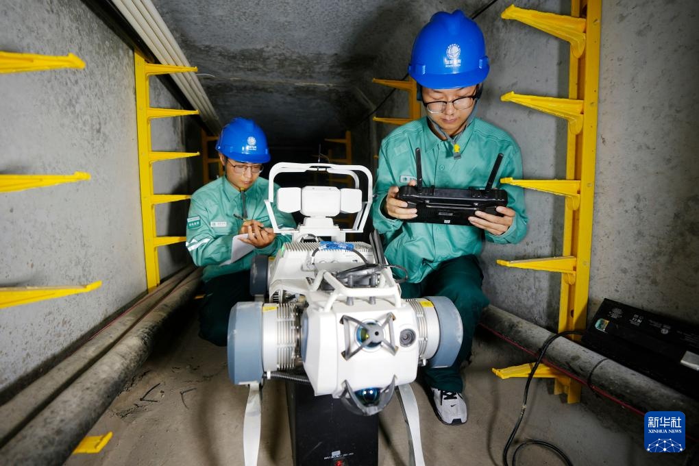 宁夏：巡检机器狗“上岗” 智慧守护电网安全