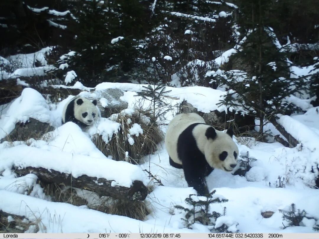 国家明确了!这类公园上新“黑科技” 国家明确了!这类公园上新“黑科技”